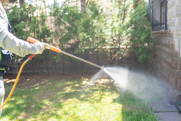 Best Ant Control Services  in Bowie, TX